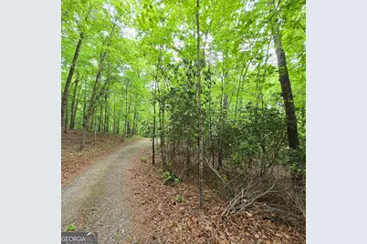 3.5Acre Dusty Trail, Morganton, GA 30560 - Photo 3