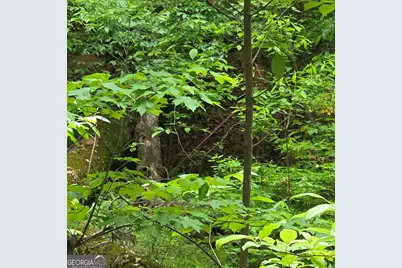 3.5Acre Dusty Trail, Morganton, GA 30560 - Photo 27
