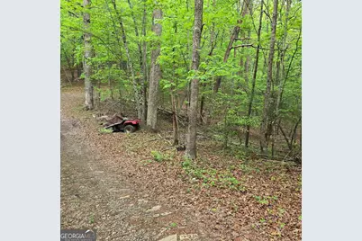 3.5Acre Dusty Trail, Morganton, GA 30560 - Photo 35