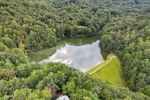 330 Skyview Dr, Ellijay, GA 30536 - Photo 7