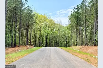 186 Rolling Meadows Way, Waverly Hall, GA 31831 - Photo 3