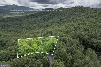 344 Robertson Drive, Blairsville, GA 30512 - Photo 47