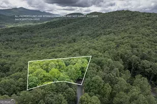 344 Robertson Dr, Blairsville, GA 30512 - Photo 47