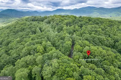 344 Robertson Drive, Blairsville, GA 30512 - Photo 45
