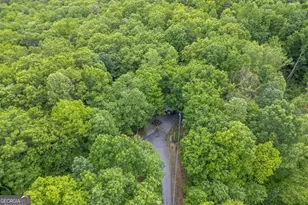 344 Robertson Dr, Blairsville, GA 30512 - Photo 41