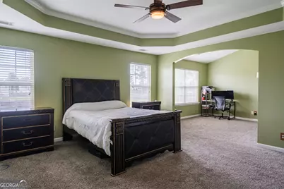 23 Francis Marion Road NE, Ludowici, GA 31316 - Photo 29