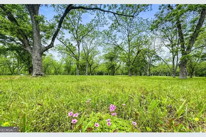 117 Zebulon Street, Milner, GA 30257 - Photo 5
