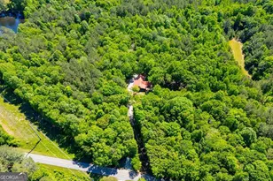 695 N Jonesville Rd, Bowdon, GA 30108 - Photo 53