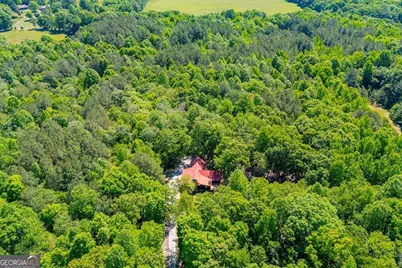 695 N Jonesville Road, Bowdon, GA 30108 - Photo 51