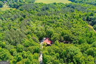 695 N Jonesville Rd, Bowdon, GA 30108 - Photo 51