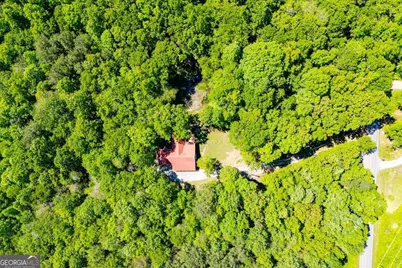 695 N Jonesville Road, Bowdon, GA 30108 - Photo 49