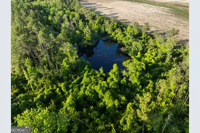 0 Douglas Highway, Fitzgerald, GA 31750 - Photo 33