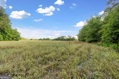 0 Douglas Highway, Fitzgerald, GA 31750 - Photo 5