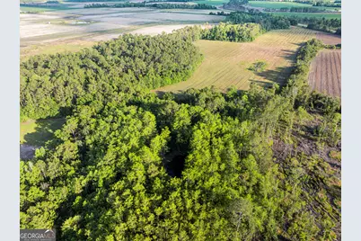 0 Douglas Highway, Fitzgerald, GA 31750 - Photo 23