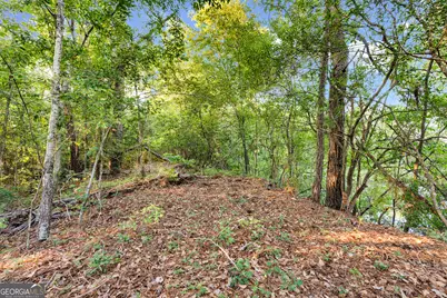 0 Douglas Highway, Fitzgerald, GA 31750 - Photo 11