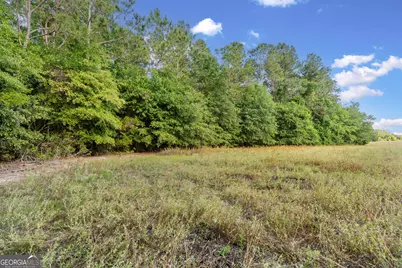 0 Douglas Highway, Fitzgerald, GA 31750 - Photo 7