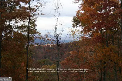 #6 Pounding Mill Overlook, Hayesville, NC 28904 - Photo 3