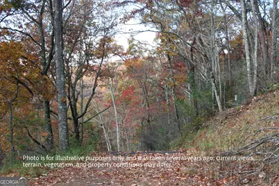 #6 Pounding Mill Overlook, Hayesville, NC 28904 - Photo 5