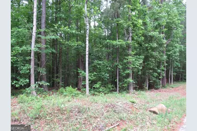 0 Doke Cohran Road, Dallas, GA 30157 - Photo 1