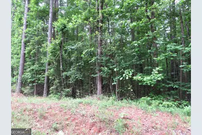 0 Doke Cohran Road, Dallas, GA 30157 - Photo 3