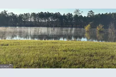 0 Sandy Creek Road, Irwinton, GA 31042 - Photo 5