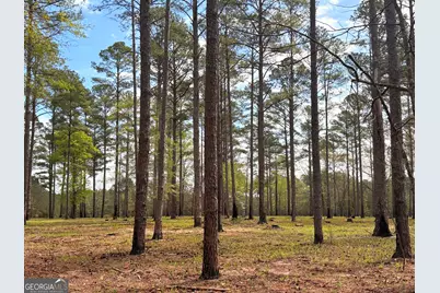 0 Sandy Creek Road, Irwinton, GA 31042 - Photo 27