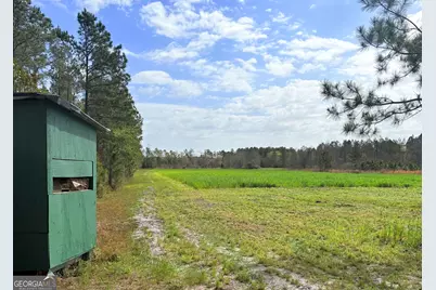 00 Sandy Creek Road, Irwinton, GA 31042 - Photo 21