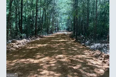 0 Sandy Creek Road, Irwinton, GA 31042 - Photo 31
