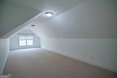 3337 Lower Blue Springs Road, Hamilton, GA 31811 - Photo 17