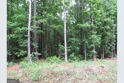 0 Doke Cohran Road, Dallas, GA 30157 - Photo 7