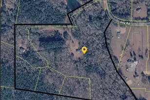 127 Little Rd, Hampton, GA 30228 - Photo 13