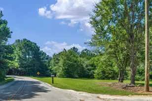 127 Little Rd, Hampton, GA 30228 - Photo 7