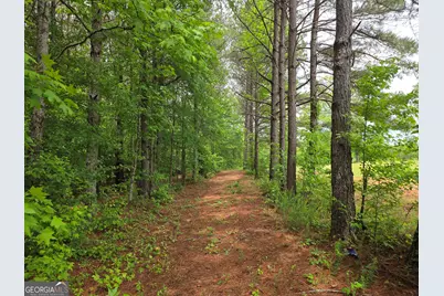 395 E Milner Road, Zebulon, GA 30295 - Photo 61