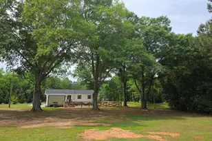 395 E Milner Rd, Zebulon, GA 30295 - Photo 31
