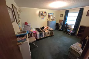 395 E Milner Rd, Zebulon, GA 30295 - Photo 51