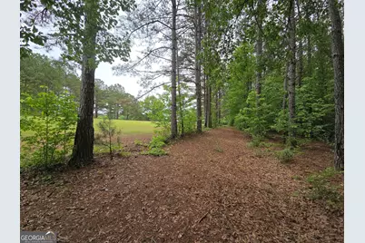 395 E Milner Road, Zebulon, GA 30295 - Photo 57