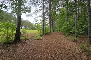 395 E Milner Rd, Zebulon, GA 30295 - Photo 57