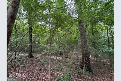 1020 Neal Road, Commerce, GA 30530 - Photo 11
