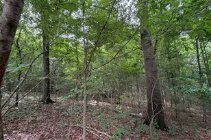 1020 Neal Rd, Commerce, GA 30530 - Photo 11