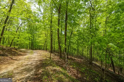 2.90 Acres Galloway Road, Blue Ridge, GA 30513 - Photo 9