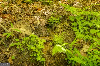 2.90 Acres Galloway Road, Blue Ridge, GA 30513 - Photo 5