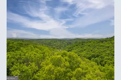 2.90 Acres Galloway Road, Blue Ridge, GA 30513 - Photo 13