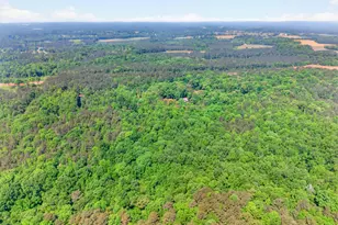 1270 Perryman Rd, Buckhead, GA 30625 - Photo 127