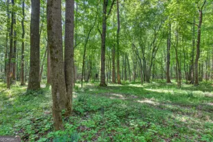1270 Perryman Rd, Buckhead, GA 30625 - Photo 81