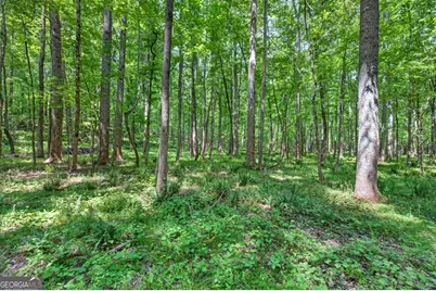 1270 Perryman Road, Buckhead, GA 30625 - Photo 83