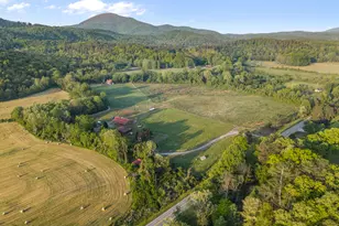 1304 Hwy 17, Sautee, GA 30571 - Photo 69