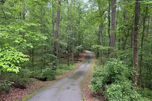 155 Thistle Ln, Fayetteville, GA 30215 - Photo 35