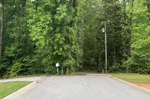 155 Thistle Ln, Fayetteville, GA 30215 - Photo 37
