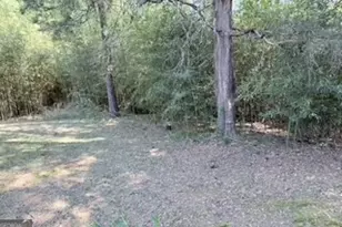 2491 Athens Hwy, Madison, GA 30650 - Photo 3