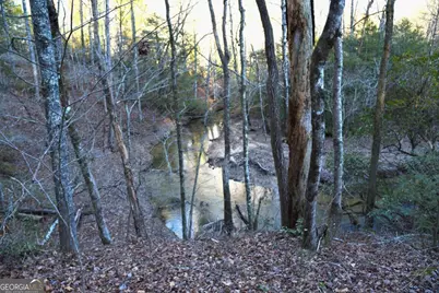 409 Harrison Sluder Road #140, Ellijay, GA 30540 - Photo 33